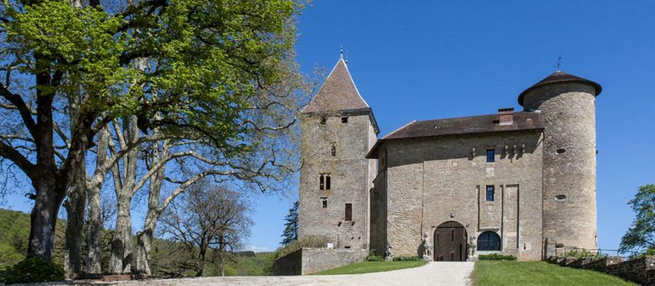 Отель Chateau De Marigna Экстерьер фото
